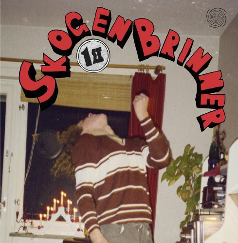 the album cover for Skogen Brinner - 1st