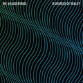 the album cover for Heliocentrics - 13 Degrees of Reality