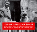 the album cover for London Is The Place For Me 5/6 - London Is the Place for Me 5 & 6: Afro-Cubism, Calypso, Highlife