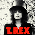 the album cover for T. Rex - Slider [Import]