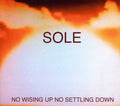 the album cover for Sole - No Wising Up No Settling Down