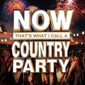 the album cover for Now That's What I Call Music! - Now That's What I Call A Country Party