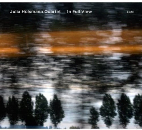 the album cover for Julia Hulsmann Quartet - In Full View