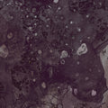 the album cover for Pinkish Black - Razed To The Ground [Vinyl]