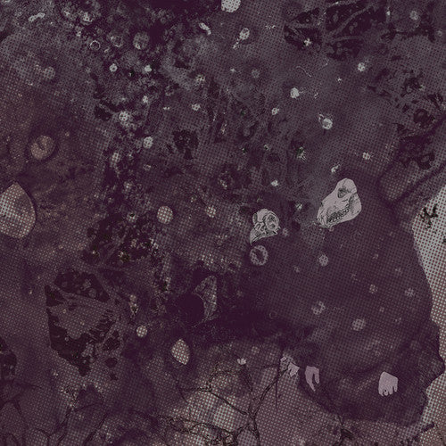 the album cover for Pinkish Black - Razed To The Ground [Vinyl]