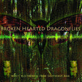 the album cover for Tucker Martine - Brokenhearted Dragonflies: Insect Electronica from Southeast Asia
