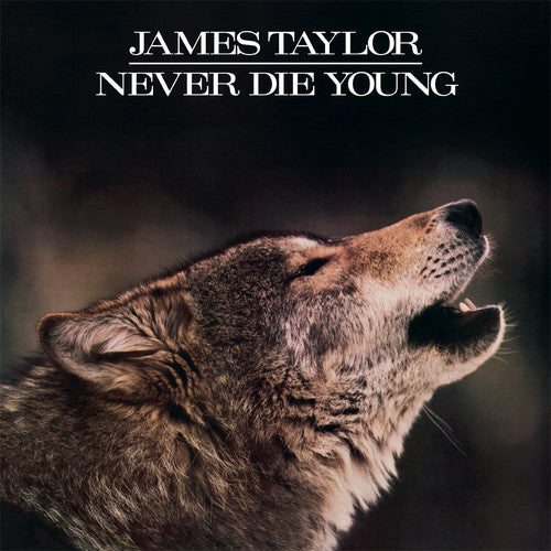 the album cover for James Taylor - Never Die Young