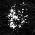 the album cover for Peals - Walking Field