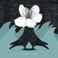 the album cover for Stimming - Stimming