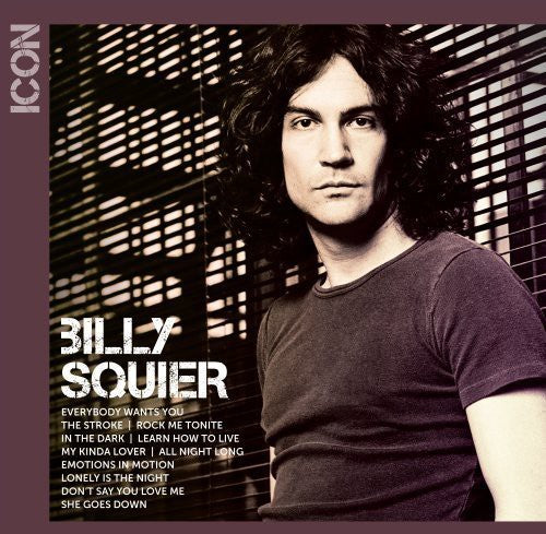 the album cover for Billy Squier - Icon