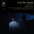 the album cover for Lust For Youth - Perfect View
