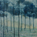 the album cover for Camera Obscura - Desire Lines