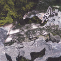 the album cover for Geoff Mullen - Filtered Water