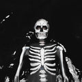 the album cover for The Maine - Forever Halloween
