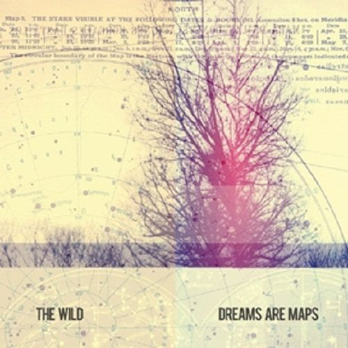 the album cover for The Wild - Dreams Are Maps [Vinyl]