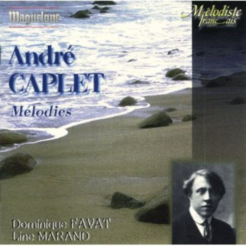 the album cover for Dominique Favat - Melodies