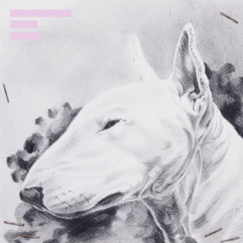 the album cover for Terranova - Painkiller