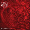 the album cover for Vein - Scouring the Wreckage of Time