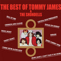 the album cover for Tommy James & The Shondells - Best Of Tommy James & The Shondells [Limited Edition] [180 Gram]