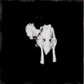 the album cover for Sigur Ros - Kveikur (2xLP)