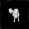 the album cover for Sigur Ros - Kveikur