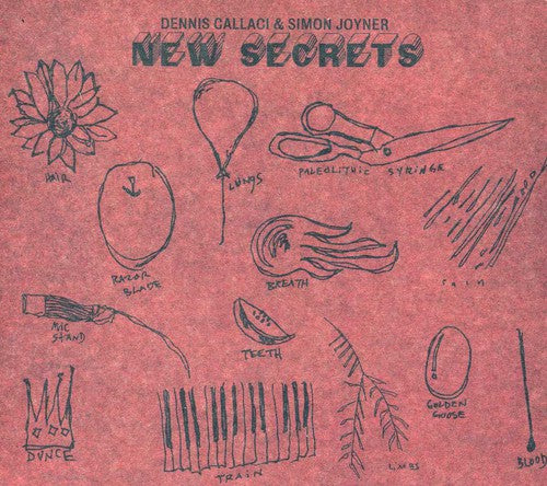 the album cover for Simon Joyner & Dennis Callaci - New Secrets