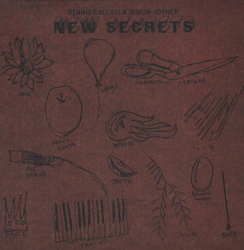 the album cover for Simon Joyner & Dennis Callaci - New Secrets