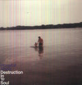 the album cover for Hospital Ships - Destruction in Yr Soul