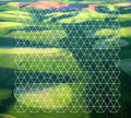 the album cover for Henry Plotnick - Fields