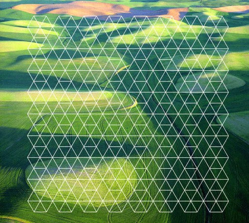 the album cover for Henry Plotnick - Fields