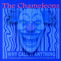 the album cover for Chameleons Uk - Why Call It Anything: Expanded Edition [Import]
