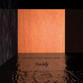 the album cover for Stareaway - No Life in This Ghost Town
