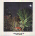 the album cover for Houndstooth - Ride Out The Dark [Vinyl]