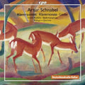 the album cover for Irmela Roelcke - Klavierquintet Klaviersonate Klavierstuecke Lieder