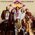 the album cover for David Bromberg Band - Reckless Abandon