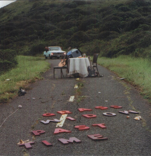 the album cover for Grass Widow - Past Time