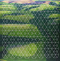 the album cover for Henry Plotnick - Fields