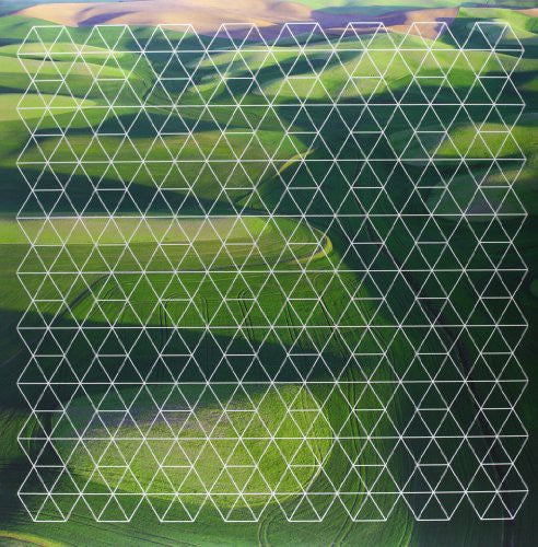 the album cover for Henry Plotnick - Fields