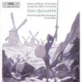 the album cover for Drottningholm Baroque Ensemble - Don Quixote / Suites