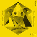 the album cover for Tim Burgess Remixed By Anton Newcombe - Doors of Then: I Am Yours I Am You