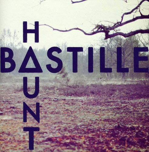 the album cover for Bastille - Haunt