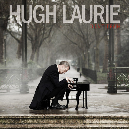 the album cover for Hugh Laurie - Didn't It Rain