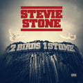 the album cover for Stevie Stone - 2 Birds 1 Stone