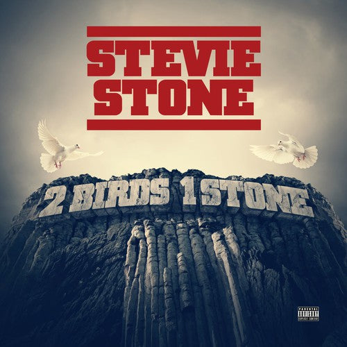 the album cover for Stevie Stone - 2 Birds 1 Stone