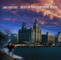 the album cover for The Lightning Seeds - Like You Do Best Of The [Import]