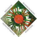 the album cover for Byzantium - Seasons Changing