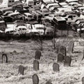 the album cover for Drenge - Drenge [Import]
