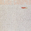 the album cover for Alice Cooper - Zipper Catches Skin [Import]