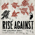 the album cover for Rise Against - Long Forgotten Songs: B-Sides & Covers 2000-2013 [Vinyl]