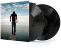 the album cover for Elton John - The Diving Board [2LP]